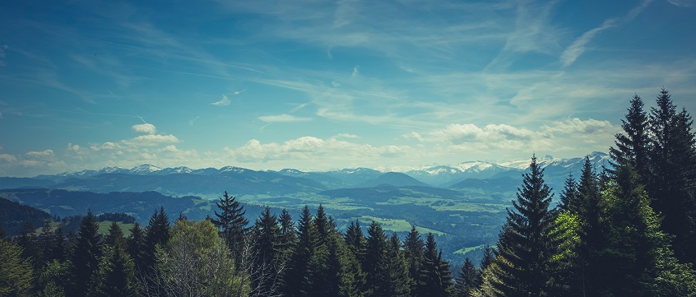 Charlotte estate planning attorney