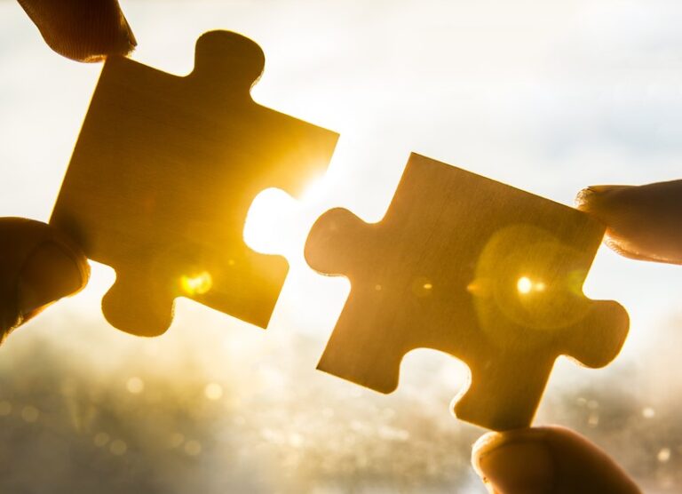 The Puzzle of an Estate Plan